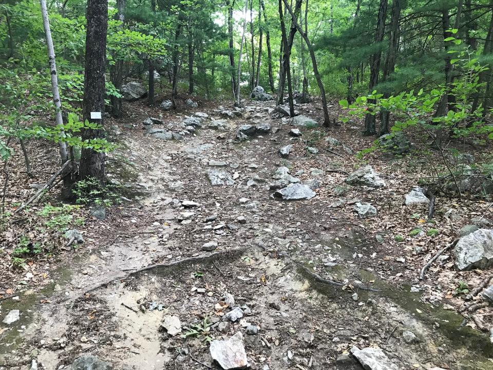 The white-blazed trail starts off as a gravel path cut into the hillside.