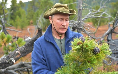 Mr Putin and Mr Shoigu also picked lingonberries, mushrooms and pine cones - Credit: KREMLIN PRESS SERVICE/HANDOUT/Anadolu Agency/Getty Images