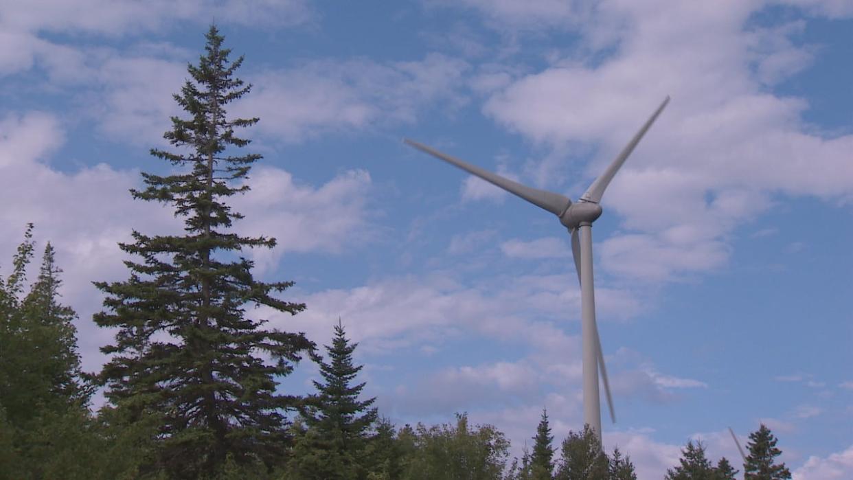 Karen Gatien, deputy minister of Natural Resources and Renewables, told committee members the province needs community buy-in for turbines to meet its legislated targets. (CBC - image credit)