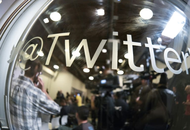 Twitter quickly become a global sensation after its launch in 2006, but the social media platform's growth has slowed and it has yet to turn a profit