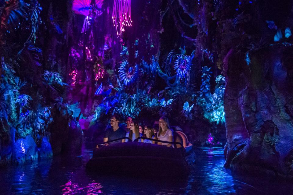 <p>At Walt Disney World, the magic just does. not. quit. One of <em>many</em> amazing attractions is Animal Kingdom's land "<a href="https://disneyworld.disney.go.com/destinations/animal-kingdom/pandora-world-of-avatar/" rel="nofollow noopener" target="_blank" data-ylk="slk:Pandora: The World of Avatar;elm:context_link;itc:0;sec:content-canvas" class="link ">Pandora: The World of Avatar</a> " — a bioluminescent rainforest inspired by the film — on a boat ride through a winding river or atop a flying reptile, soaring over the trees. </p>