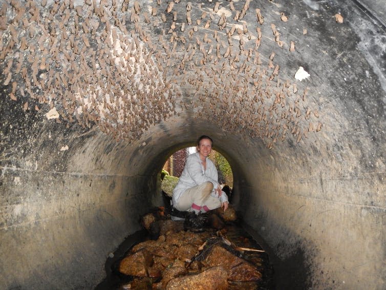 woman squats in cement tunnel, ceiling covered in insects