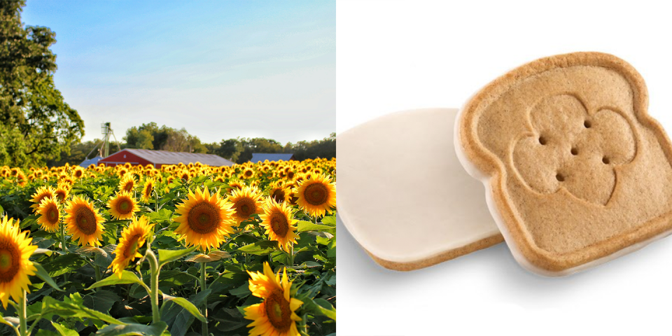 <p>There's no place like the Sunflower State, and there's no cookie as cute as the vanilla icing-coated <a href="https://ibabcbakersnutritionalvalues.azurewebsites.net/toast-yay.html" rel="nofollow noopener" target="_blank" data-ylk="slk:Toast-Yay;elm:context_link;itc:0;sec:content-canvas" class="link ">Toast-Yay</a>. </p>