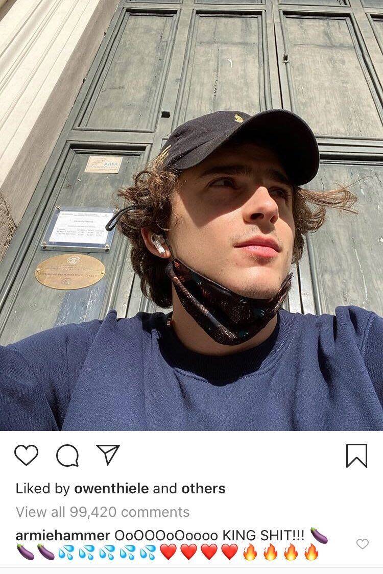 Armie Hammer, Timothee Chalamet Instagram