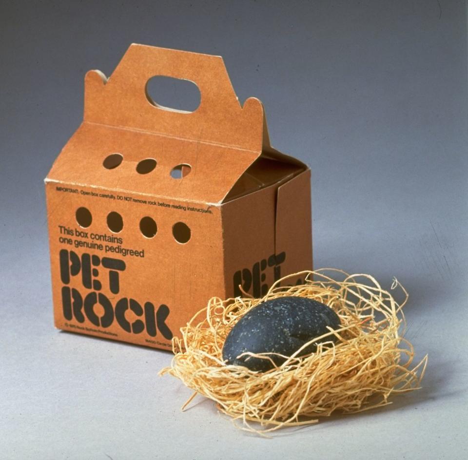 Pet Rocks