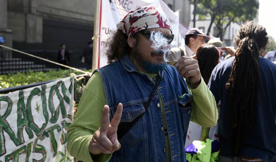 Mexico Marijuana Legalization 2015: 5 Things to Know About Mexican Supreme Court Decision 