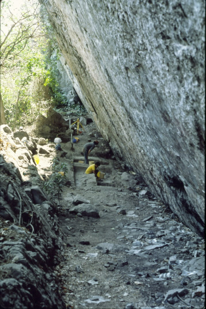 Una fotografía incluida en el artículo de Pansani et al., Proceedings of the Royal Society B, muestra trazos primitivos en el abrigo rocoso de Santa Elina en Mato Grosso, Brasil, donde se realizaron excavaciones hace 28 años. (Pansani et al., Proceedings of the Royal Society B vía The New York Times).