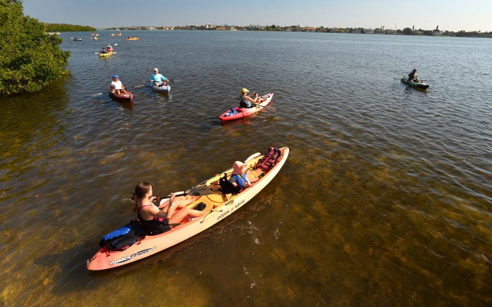 State regulators recently proposed that a portion of Sarasota Bay be removed from a list of impaired waterways. "We’re seeing pretty substantial seagrass increases,” said Dave Tomasko, director of the Sarasota Bay Estuary Program.