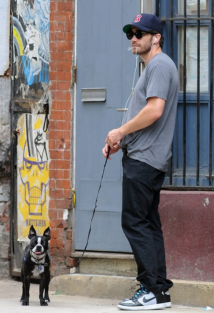 Excluisve - Jake Gyllenhaal Walks His Girlfriend's Dog