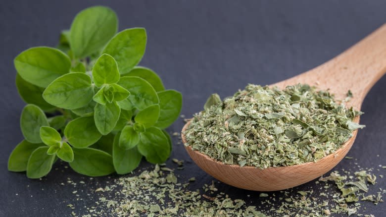 Fresh and dried oregano