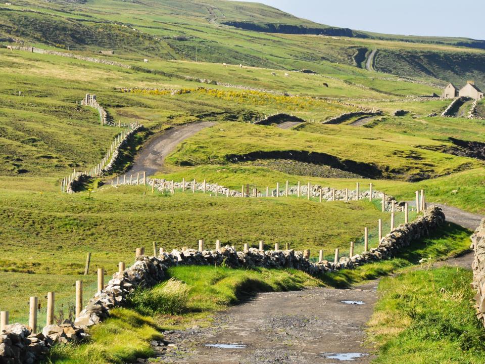 irish landscape