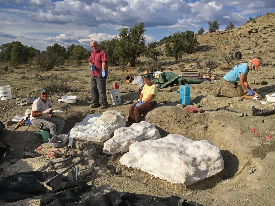 A new study says that a group of fossilized T. rex found in Utah likely hunted in a pack like wolves, and had some kind of social structure, similar to that of birds.