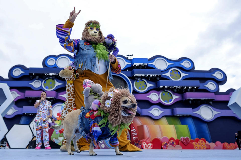 <p>A costumed dog and his owner take part in a parade at the Las Palmas de Gran Canaria’s Dog Carnival in Las Palmas city, Gran Canaria island, the Canaries, Spain, Feb. 19, 2017. (Photo: Angel Medina/EPA) </p>