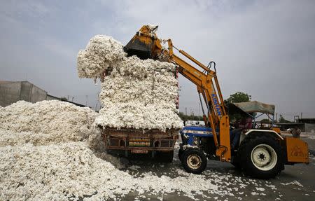 An employee unloads cotton from a truck at a cotton processing unit at Kadi town, in Gujarat, April 5, 2018. REUTERS/Amit Dave/Files