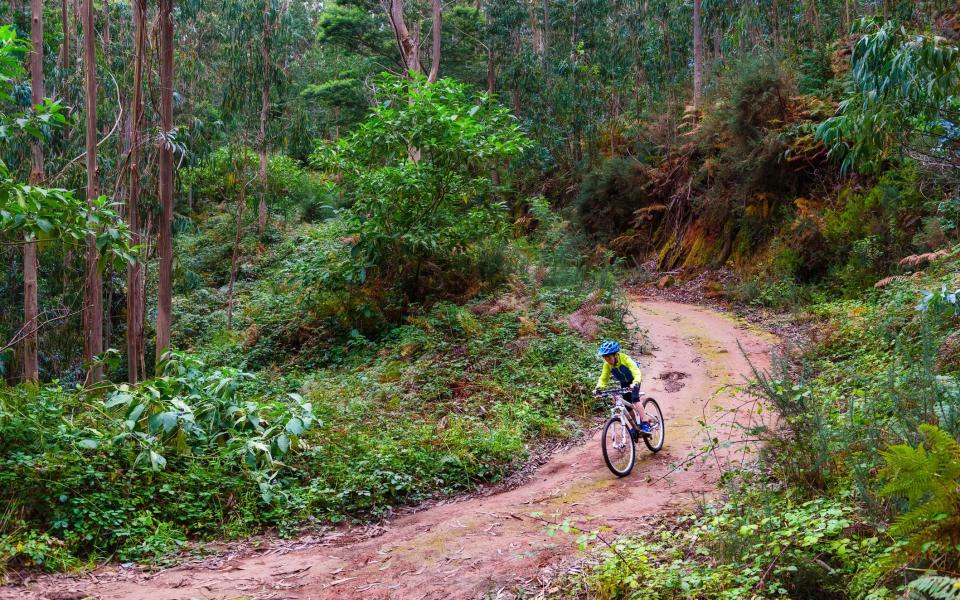 A young mountain biker  - Getty