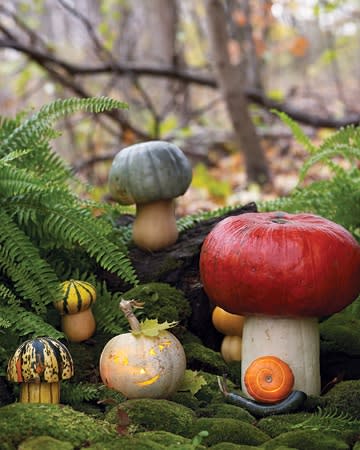 Pumpkin Toadstooks