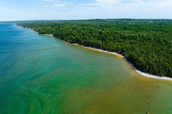 A 56-acre property acquired by Little Traverse Conservancy in Bayshore features 56 acres of forest and trail, reaching a quarter mile of undeveloped Lake Michigan shoreline on Little Traverse Bay.