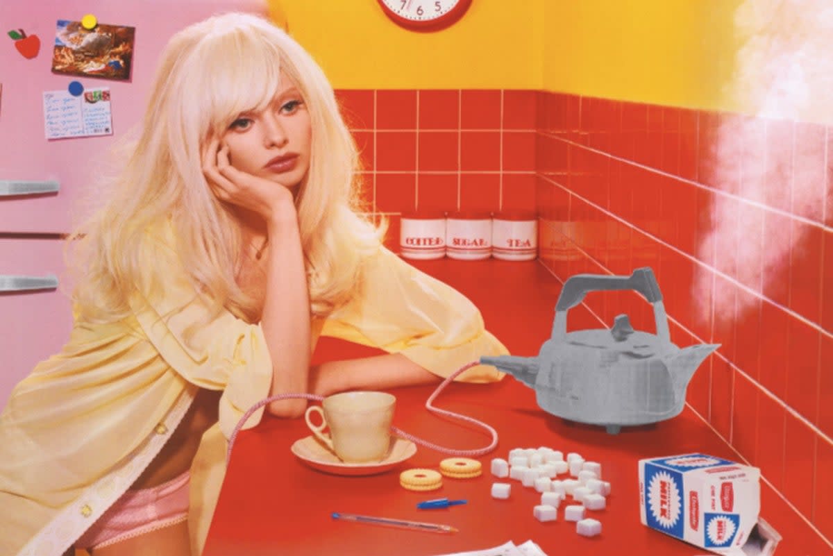  (Venus Etcetera (after Titian) Miles Aldridge)