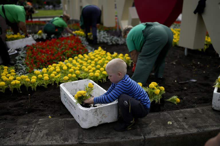 Un niño recoge flores para plantar en la Plaza de la Independencia en el centro de Kiev, Ucrania.