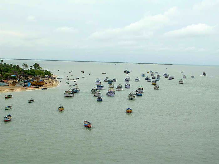 An array of fishing boats seen from the bridge.