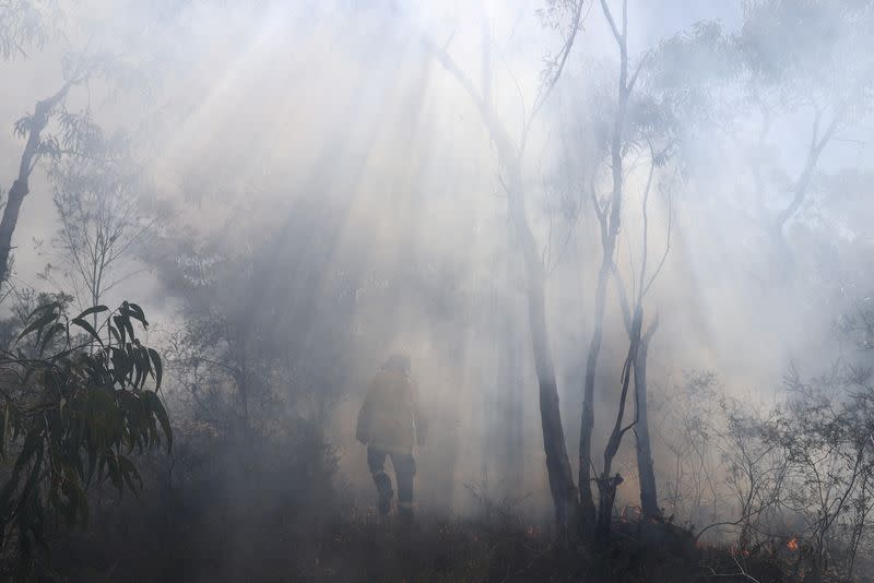 FILE PHOTO: NSW RFS personnel conduct a controlled burn to eliminate fuels in Sydney