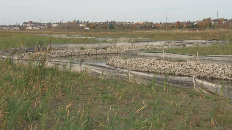 Taxpayers on the hook for an extra $10M to help developers build homes in Kanata