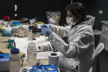 A forensic scientist analyzes samples in the DNA and Serology department at Punjab Forensic Science Agency in Lahore January 13, 2015. REUTERS/Zohra Bensemra