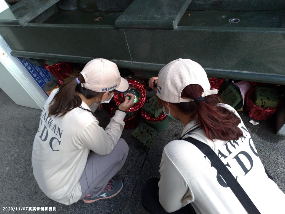 疾管署防疫人員於桃園市龜山區本土登革熱個案活動地進行孳生源查核與投藥作業。   圖：疾病管制署/提供