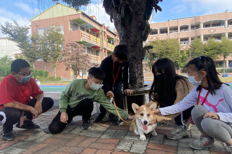 村上國小的校狗「樂樂」很受學生歡迎