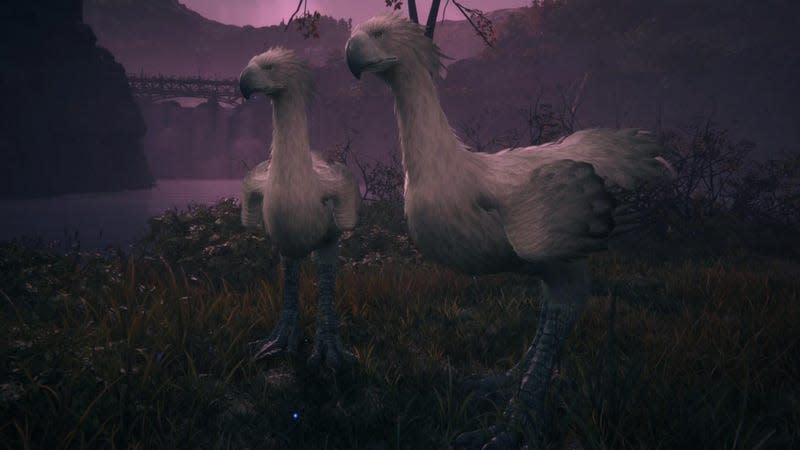 Two Chocobos stand in a miserably dull environment.