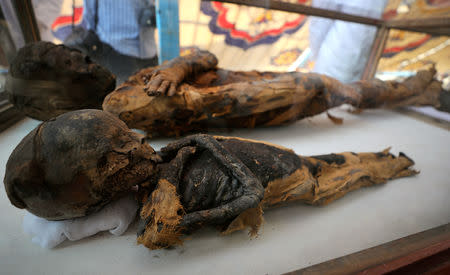 Two mummies, of a woman and child, are on display at the newly discovered burial site, the Tomb of Tutu, at al-Dayabat, Sohag, Egypt April 5, 2019. REUTERS/Mohamed Abd El Ghany