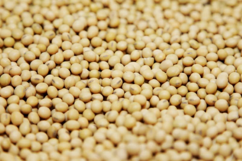 FILE PHOTO: A bushel of soybeans are shown on display in the Monsanto research facility in Creve Coeur