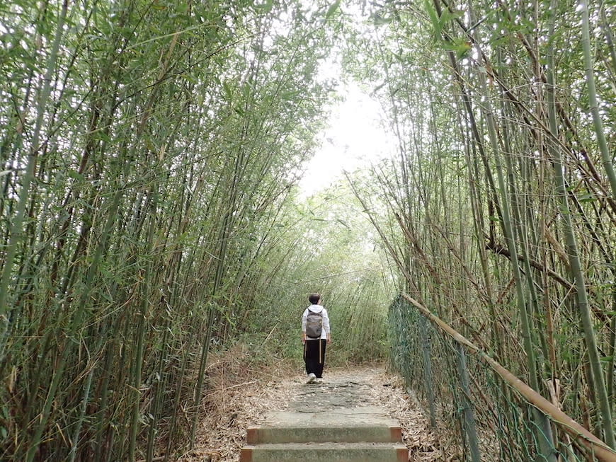 新竹十二寮登山步道