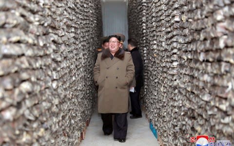 Kim Jong-un, pictures in a fur-lined coat inspecting a frozen fish factory, is trying to modernise his country - Credit: KCNA/Reuters