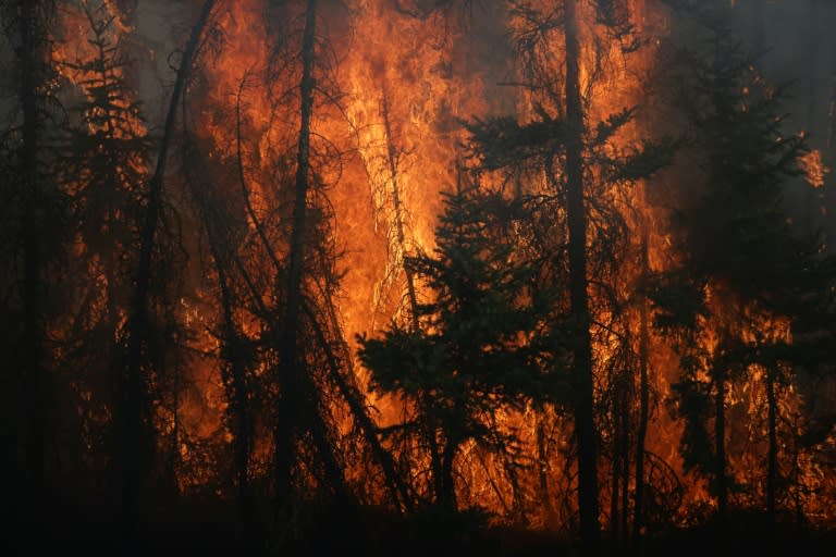 Flames engulf trees along a highway near Fort McMurray, Alberta on May 6, 2016