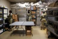 A military field hospital for non-coronavirus patients inside CenturyLink Field Event Center during the coronavirus disease (COVID-19) outbreak in Seattle