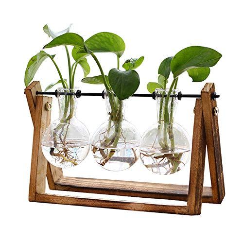 20) Terrarium with Wooden Stand