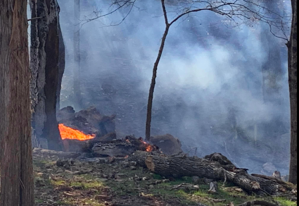 The fire in Mount Sidney has been mostly contained as of 5:20 p.m., according to a Facebook post from Jeff Ishee. The wildfire is near the intersection of Todd Road and Liberty School Road. County firefighters are on the scene (Weyers Cave and New Hope)