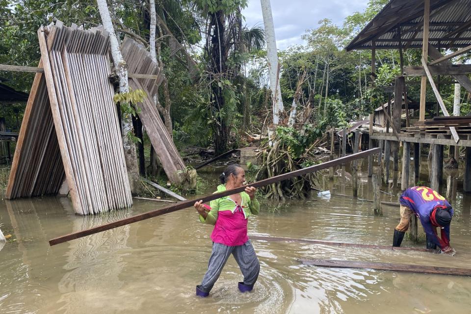 Maria de Fatima da Costa, carries a wooden plank as she works on her home in the Sao Gabriel community, Amazonas state, Brazil, March 1, 2023. She is the mother of both Amarildo da Costa de Oliveira, who confessed to the killings of Bruno Pereira and Dom Phillips. Pereira was an expert on Indigenous communities and Phillips a British journalist. Da Costa is also the mother of Oseney da Costa de Oliveira, also arrested and accused of the murders. The brothers are in maximum-security prisons thousands of kilometers away from Javari. (AP Photo/Fabiano Maisonnave)