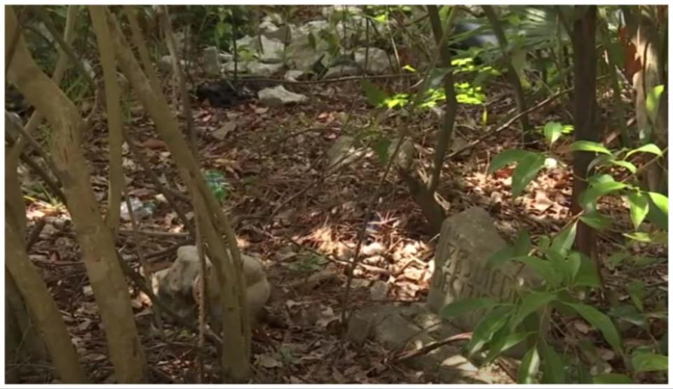 An overgrown African American cemetery at the St. Nicholas Bethel Baptist Church Jacksonville, Florida. (Credit News4JAX YouTube)