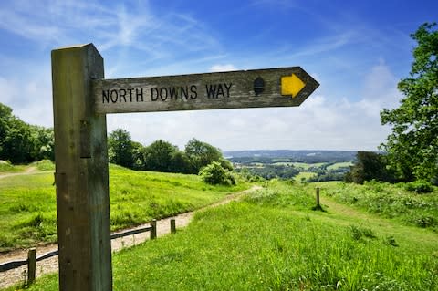 Walk the North Downs Way - Credit: GETTY