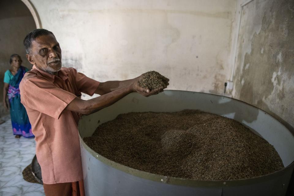 Sarojini Chandu, 72, looks on as her husband M.M. Chandu, 78, shows a slightly blackened paddy stored in a bin at their home in Chellanam village, a suburb of Kochi, southern Kerala state, India, March 24, 2023. When pokkali is grown, salt water is pushed out and farmers use rain water to irrigate their crops. (AP Photo/R S Iyer)