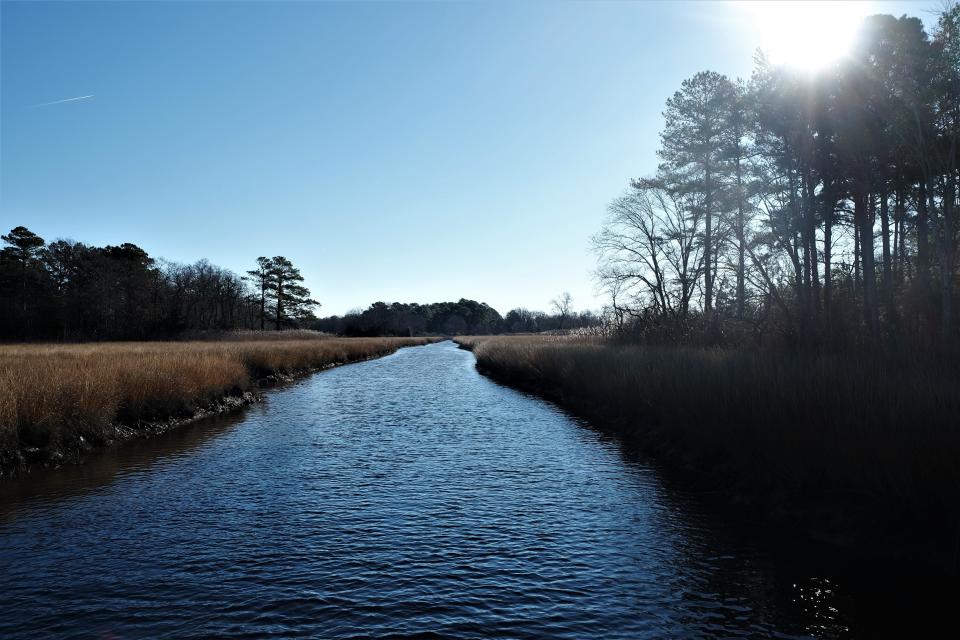 Over 98,000 of Delaware's wetlands — that's 44 percent — are in Sussex County. Recent council ordinances proposing more restrictions on buffers and calculating density could further protect wetlands, which add a thick layer of protection from flooding caused by storms.