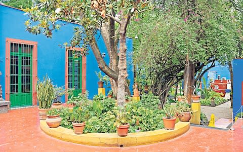 The flowers at Frida Kahlo's garden in Mexico City gives off a scent that is like that of passion fruit - Credit: Alamy