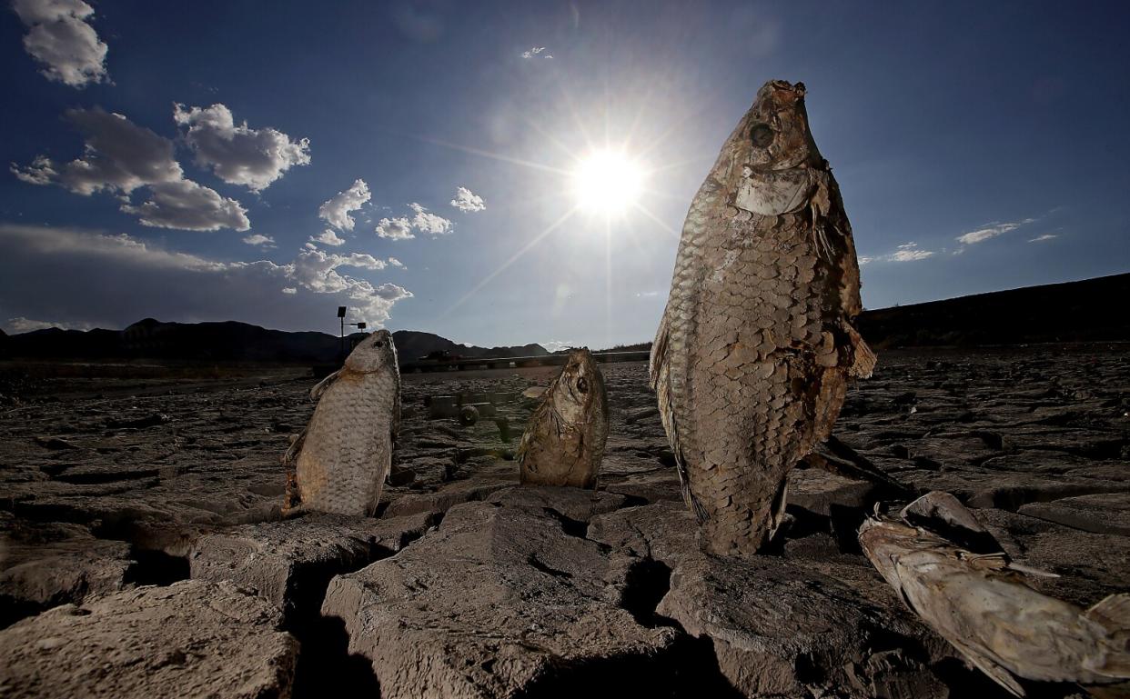 Scenes around Lake Mead as persistent drought drives water levels to their lowest point in history.