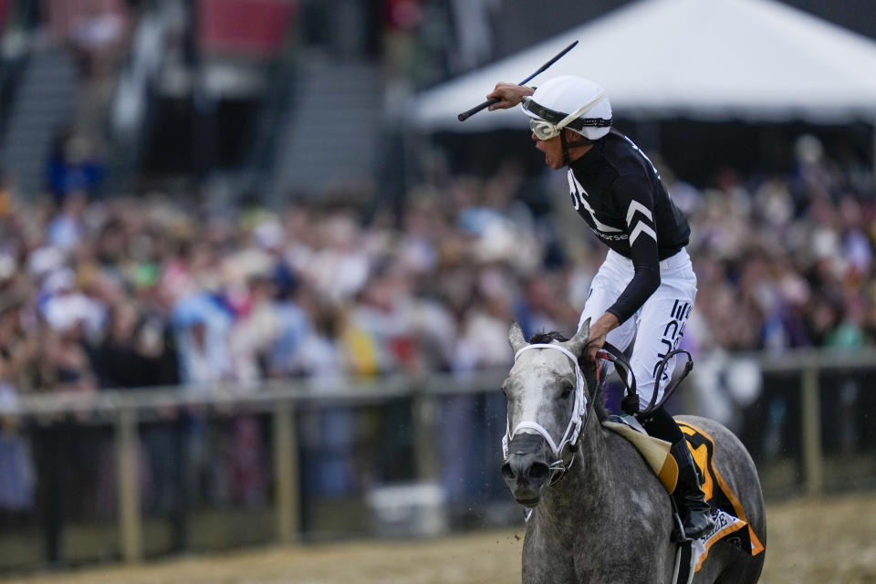 Jockey Jaime Torres, atop Seize The Grey, reacts after winning the Preakness Stakes horse race at Pimlico Race Course, Saturday, May 18, 2024, in Baltimore. (AP Photo/Julia Nikhinson)