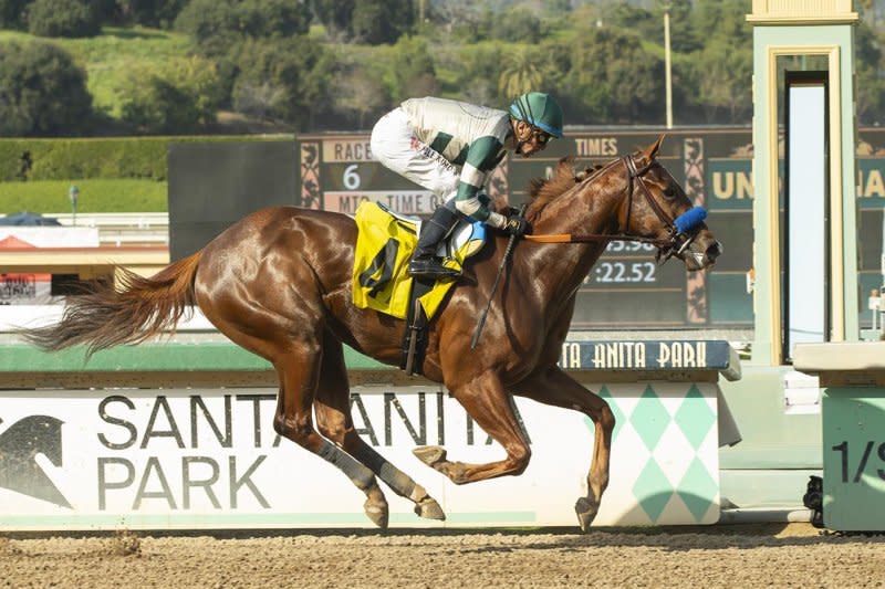 Domestic Product (middle horse) wins Saturday's Tampa Bay Derby, earning a spot in the Kentucky Derby field. SV Photography, courtesy of Tampa Bay Downs