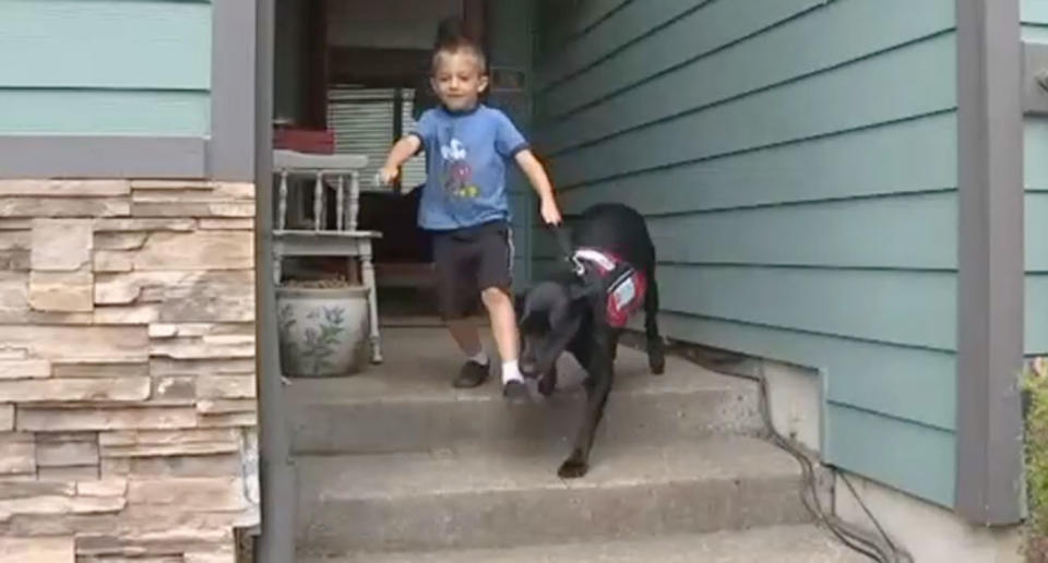 Toby Hardesty, 6, has a service dog named Hawkeye who sniffs out gluten before he can touch it. Toby has coeliac disease. Source: Fox 6