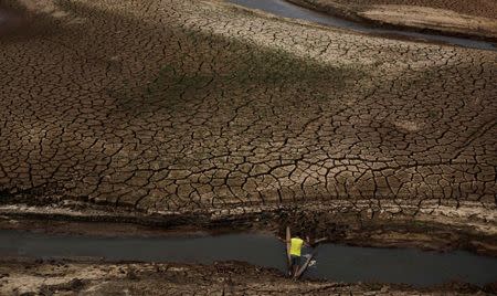 A man tries walks between two trunks towards the cracked ground of the Atibainha dam as it dries up due to a prolonged drought in Nazare Paulista, Sao Paulo state, October 17, 2014. REUTERS/Nacho Doce