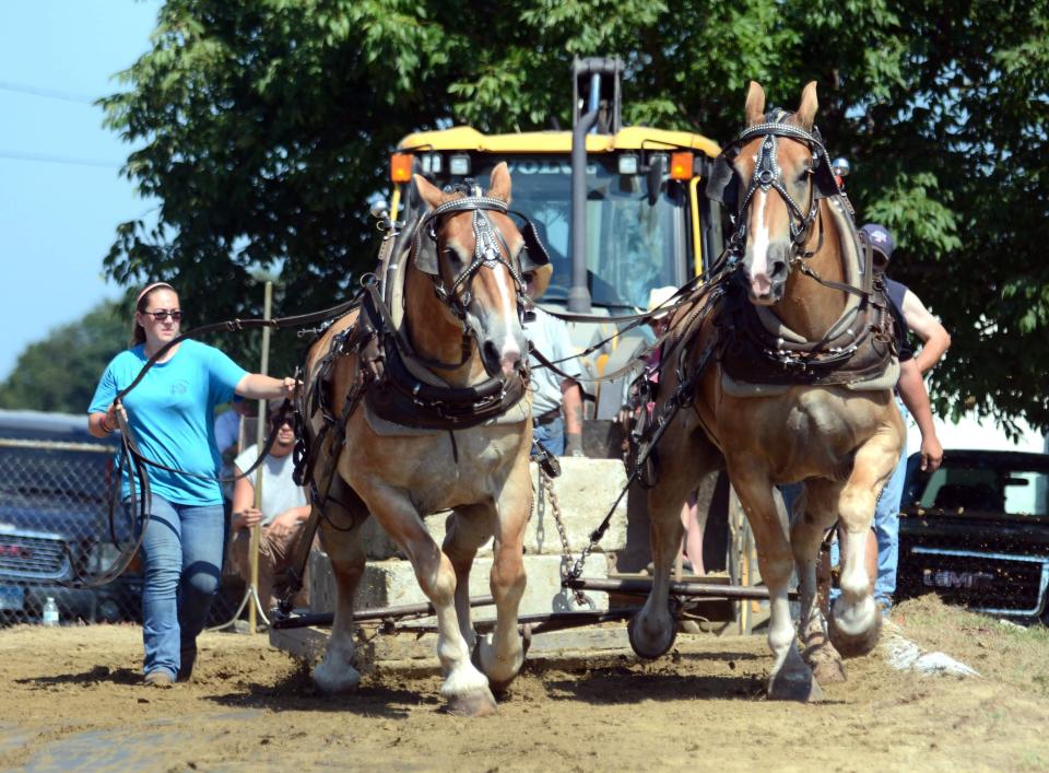Brianna Stevens of Chaplin steers her draft horses Thomas and Tim as they pull 5,500 pounds during the last day of the Woodstock Fair in 2018. [Bulletin file photo]